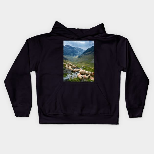 Sheep on the mountain Kids Hoodie by naturalis